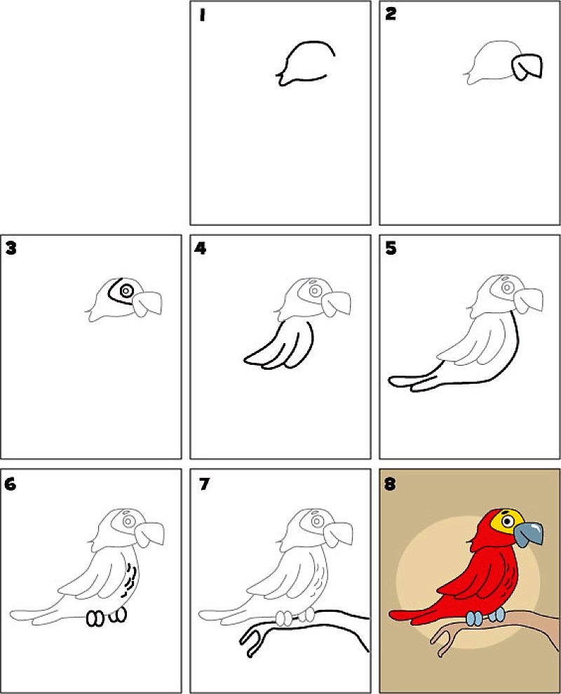 Idée perroquet 11 dessin