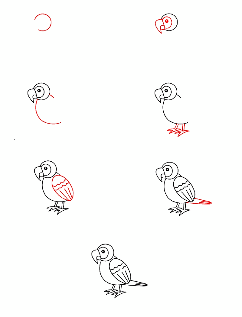 Idée perroquet 14 dessin