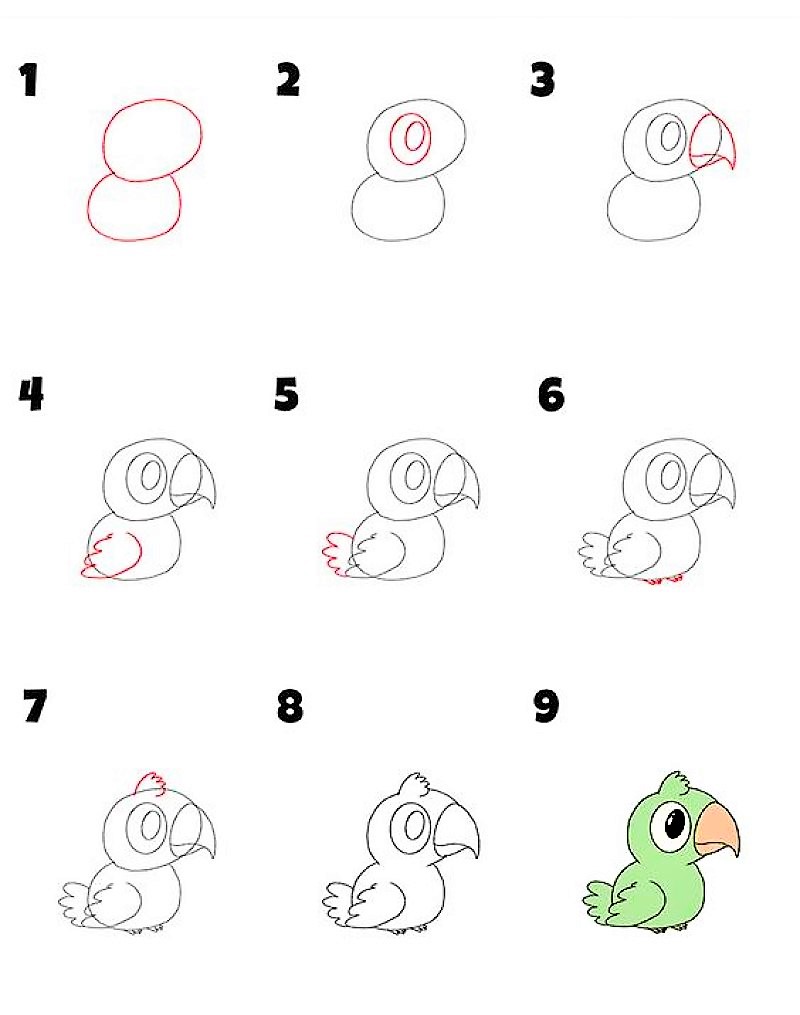 Idée perroquet 5 dessin