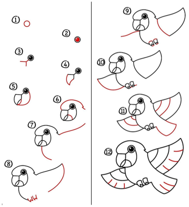 Idée perroquet 6 dessin