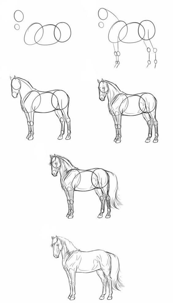 Idée de cheval (1) dessin