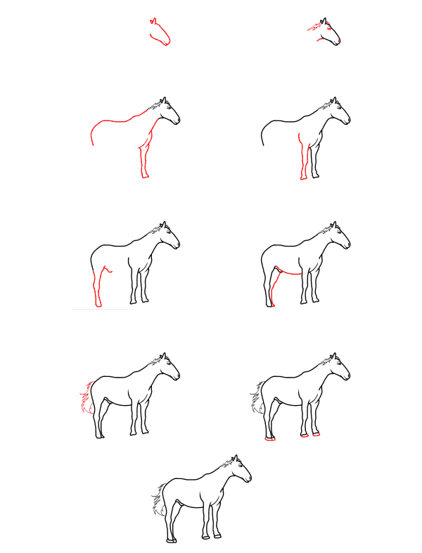 Idée de cheval (1) dessin