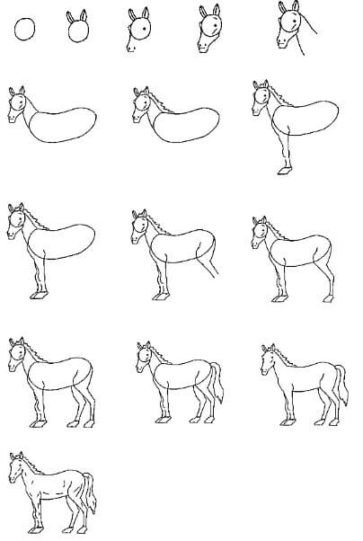 Idée de cheval (18) dessin