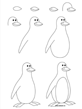 Idée pingouin 7 dessin