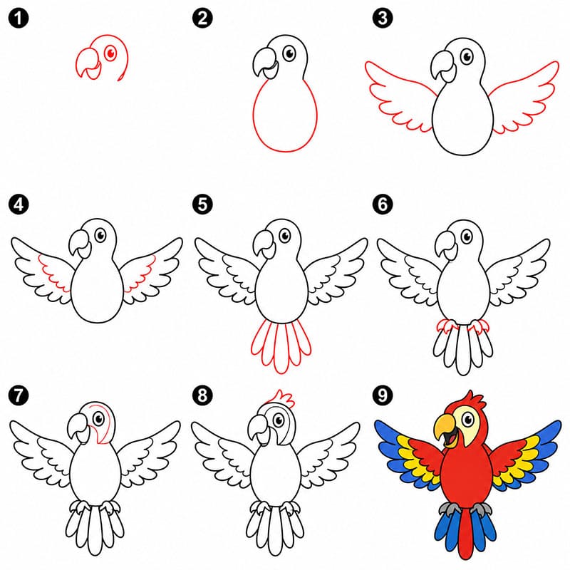 Perroquet adorable dessin