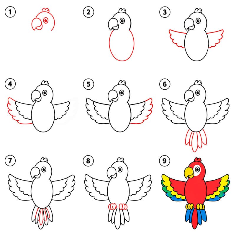 Perroquet aux ailes déployées dessin