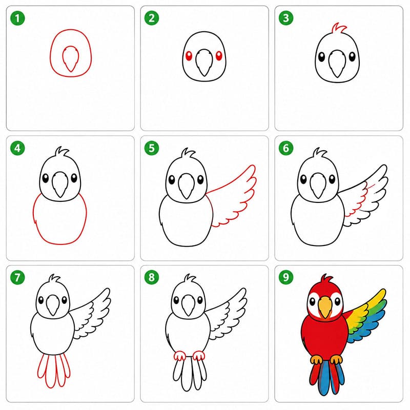 Perroquet gratuit dessin
