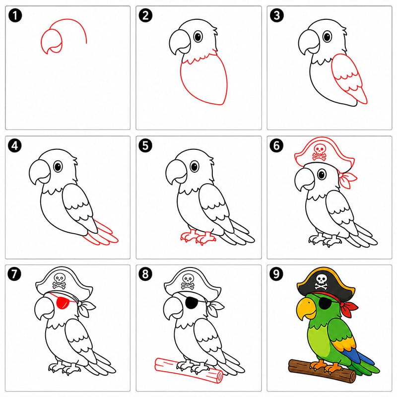 Perroquet pirate dessin