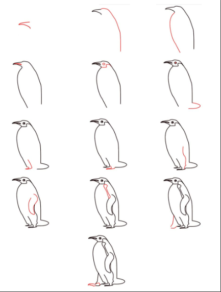 Pingouins détaillés dessin