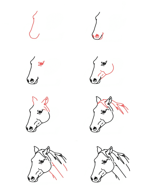 38 Facile Et Mignon Id es De Dessin Cheval Comment Dessiner Cheval