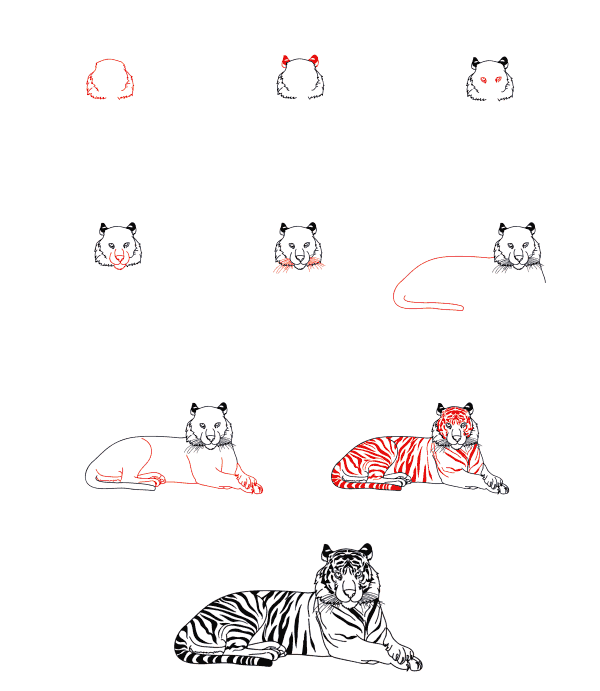 Tigre réaliste (4) dessin