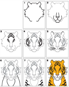 Tête de tigre dessin
