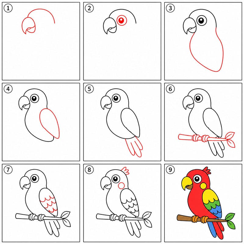 Un perroquet dessin