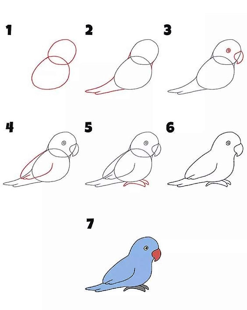 Un simple perroquet dessin