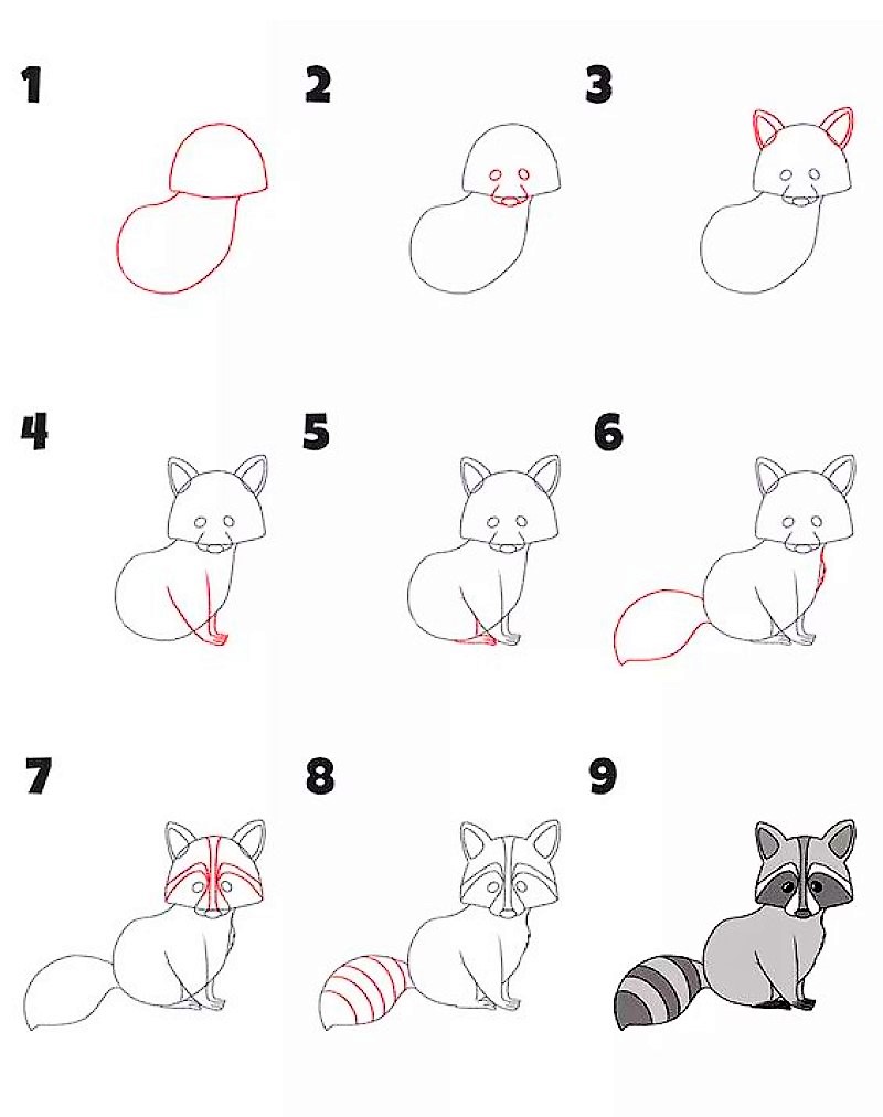 Une idée de raton laveur 6 dessin