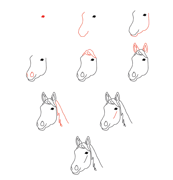 Visage de cheval dessin