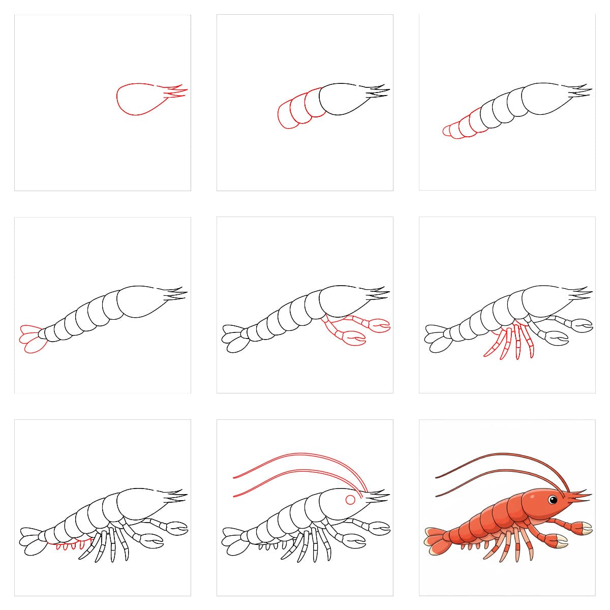 Crevette à imprimer gratuitement dessin