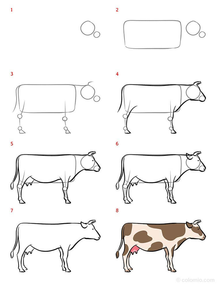 dessin de vache dessin