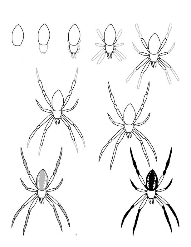 Idée d'araignée 5 dessin