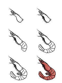 Idée de crevettes 1 dessin