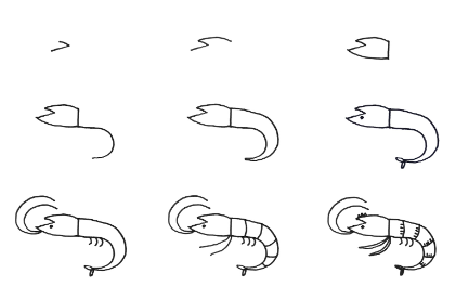 Idée de crevettes 5 dessin