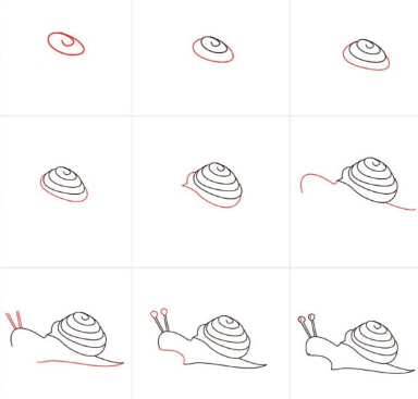 Comment dessiner Idée d’escargot 13