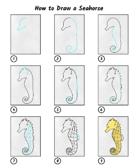 Idée hippocampe 9 dessin