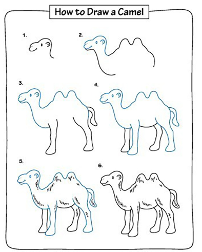 Un chameau détaillé dessin