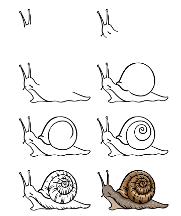Un escargot détaillé dessin