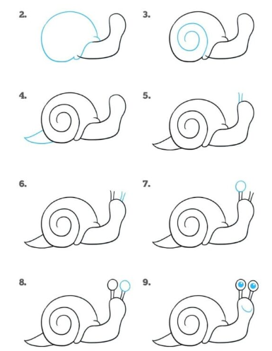 Un escargot pas à pas dessin