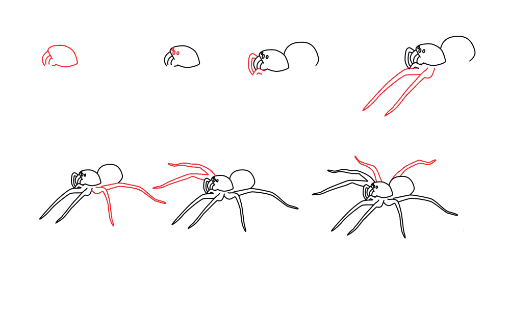 Une araignée simple, étape par étape dessin