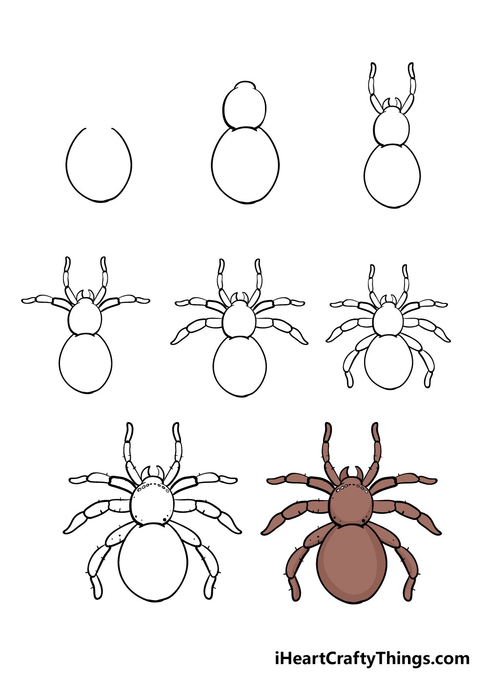 Araignée dessin
