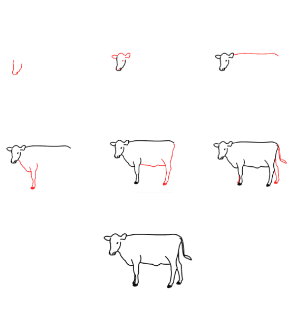 Vache dessin