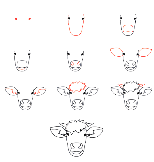 Visage de vache dessin