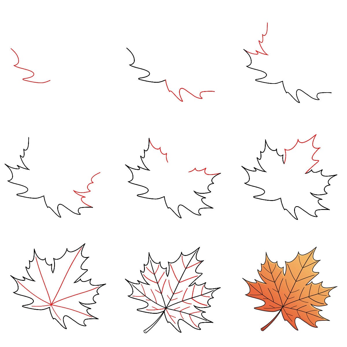 Angles de la feuille d'érable dessin