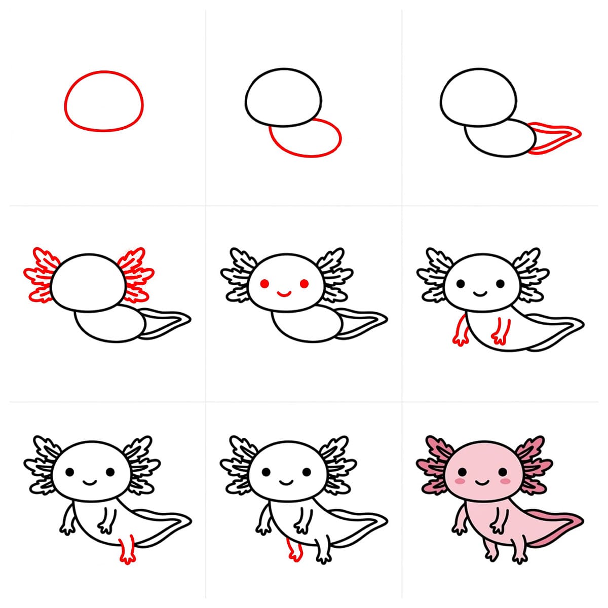 Axolotl au repos dessin