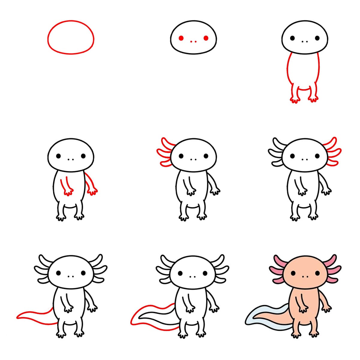 Axolotl debout droit dessin