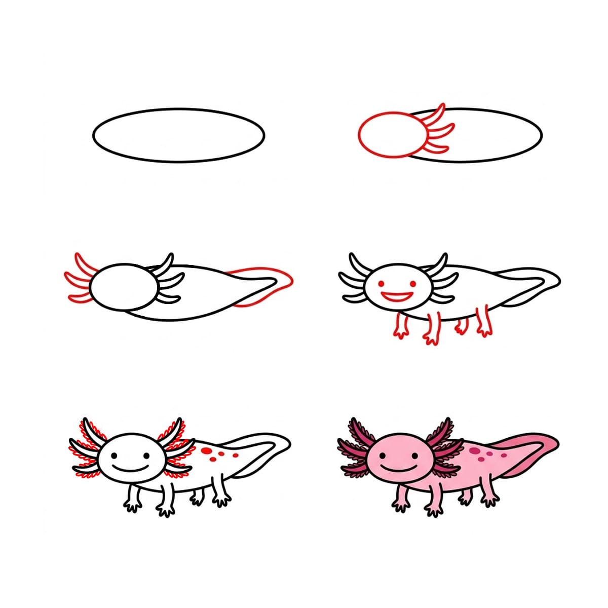 Axolotl qui marche dessin