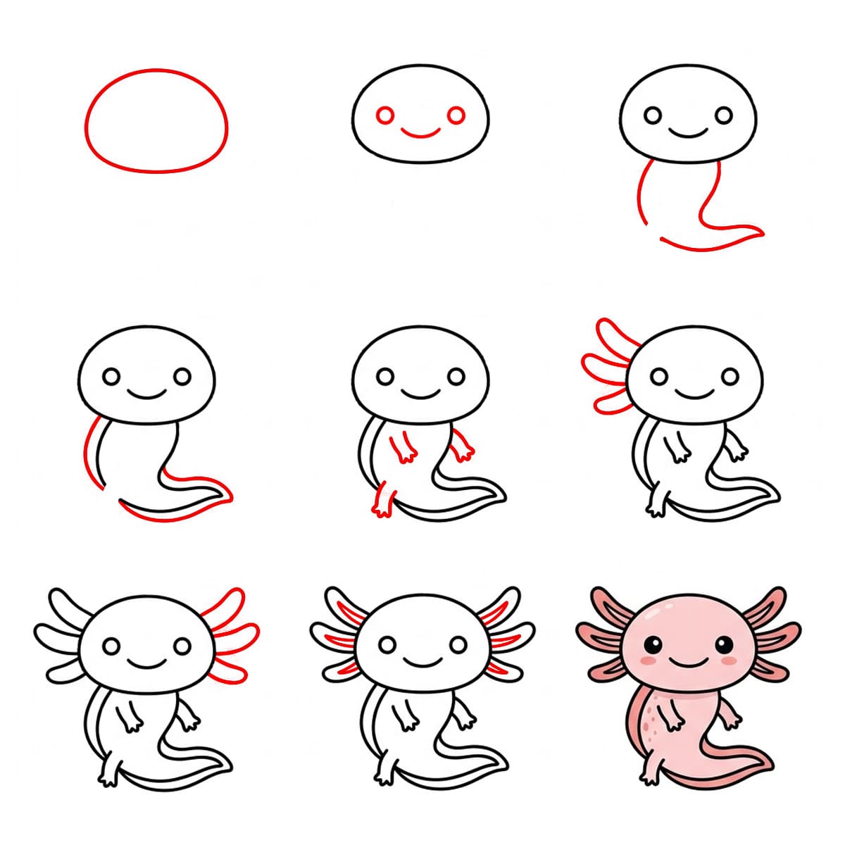 Axolotl qui nage dessin