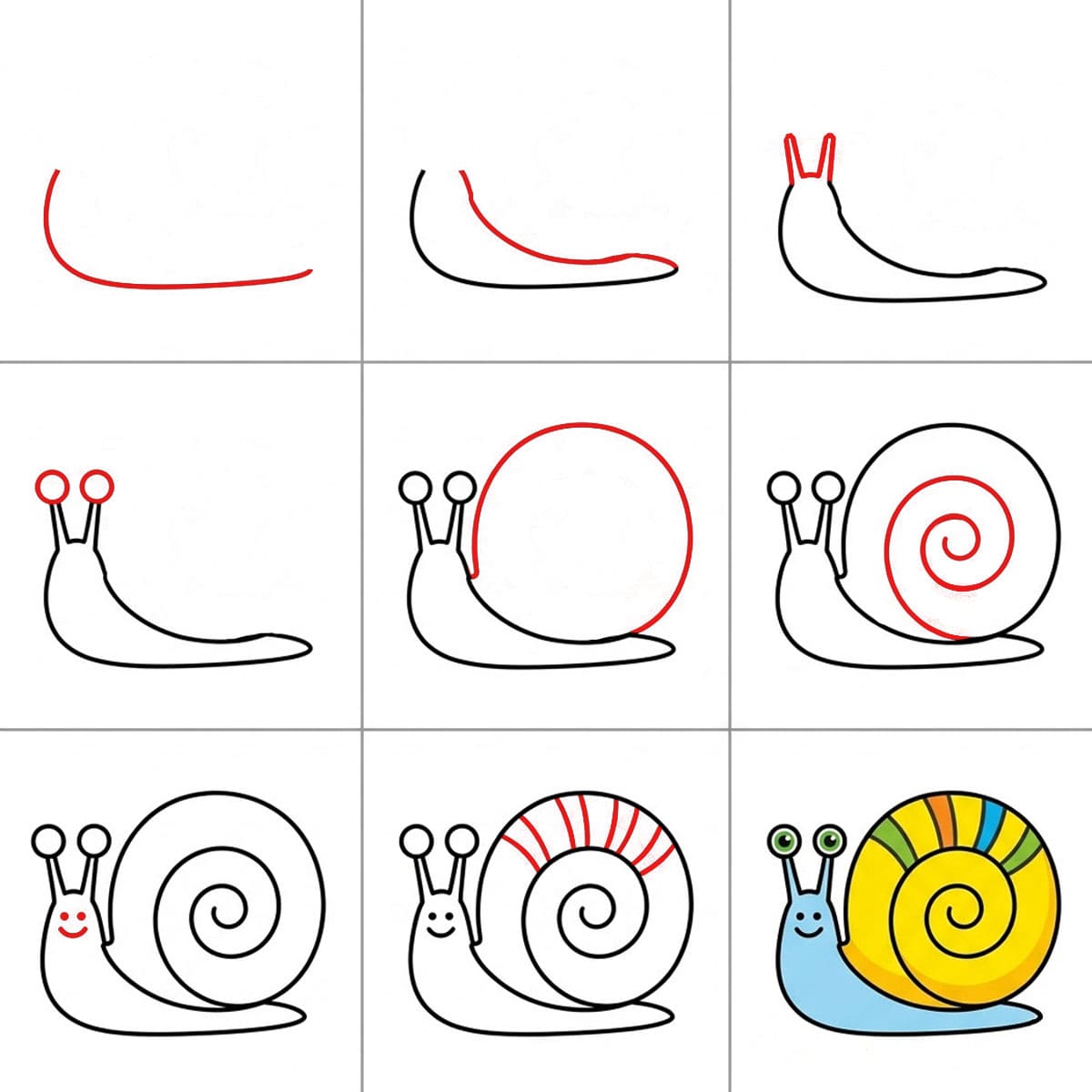 Escargot à coquille rayée dessin