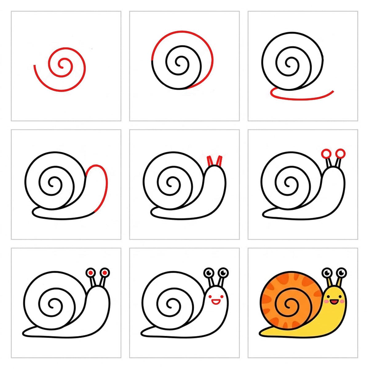 Escargot en spirale dessin