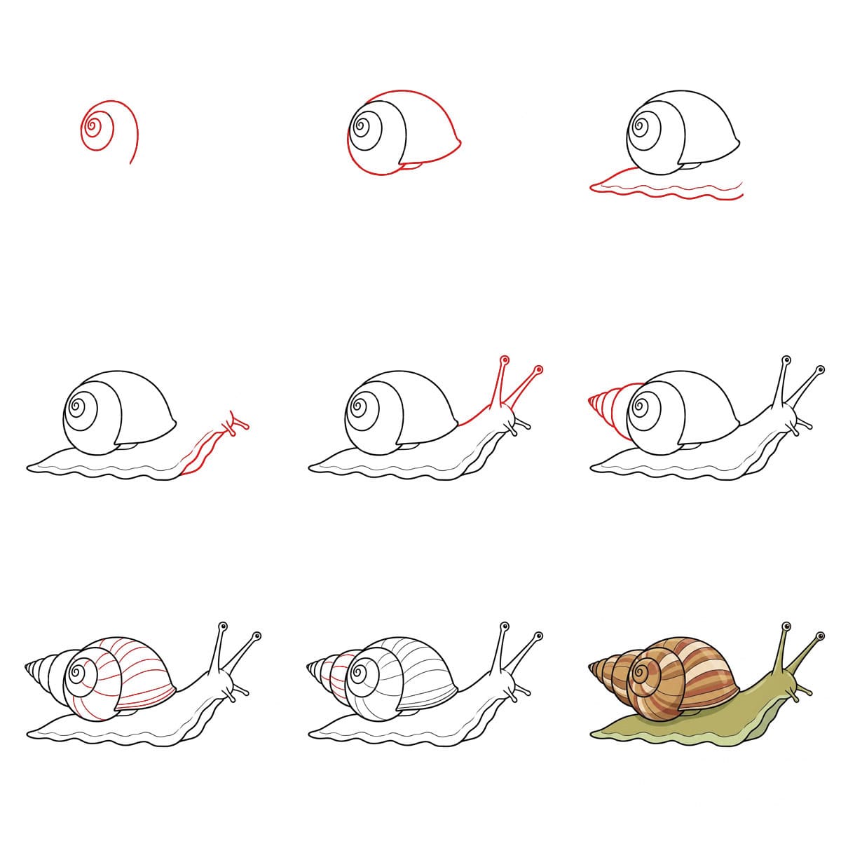 Escargot mignon dessin