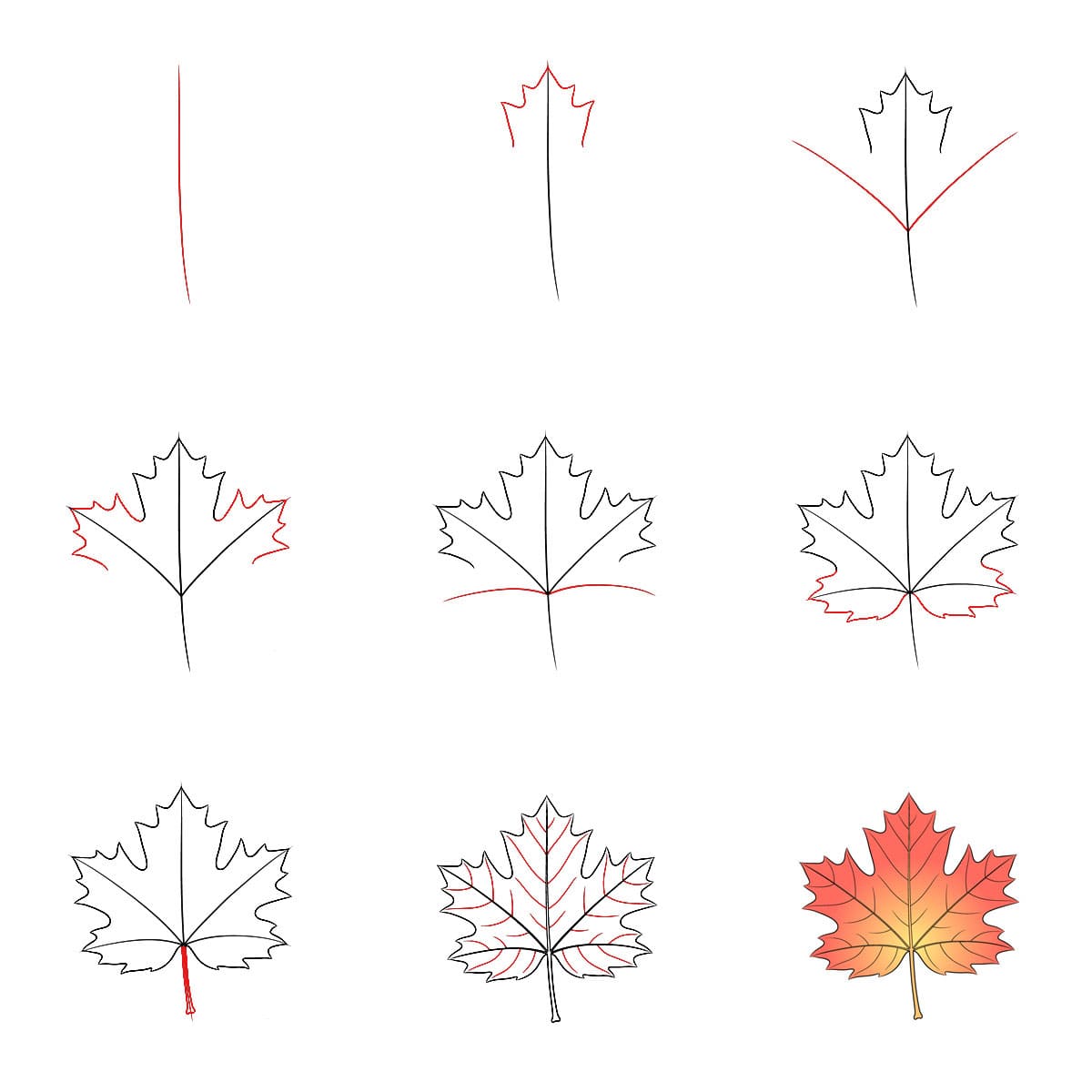 Feuille d'érable gratuite dessin