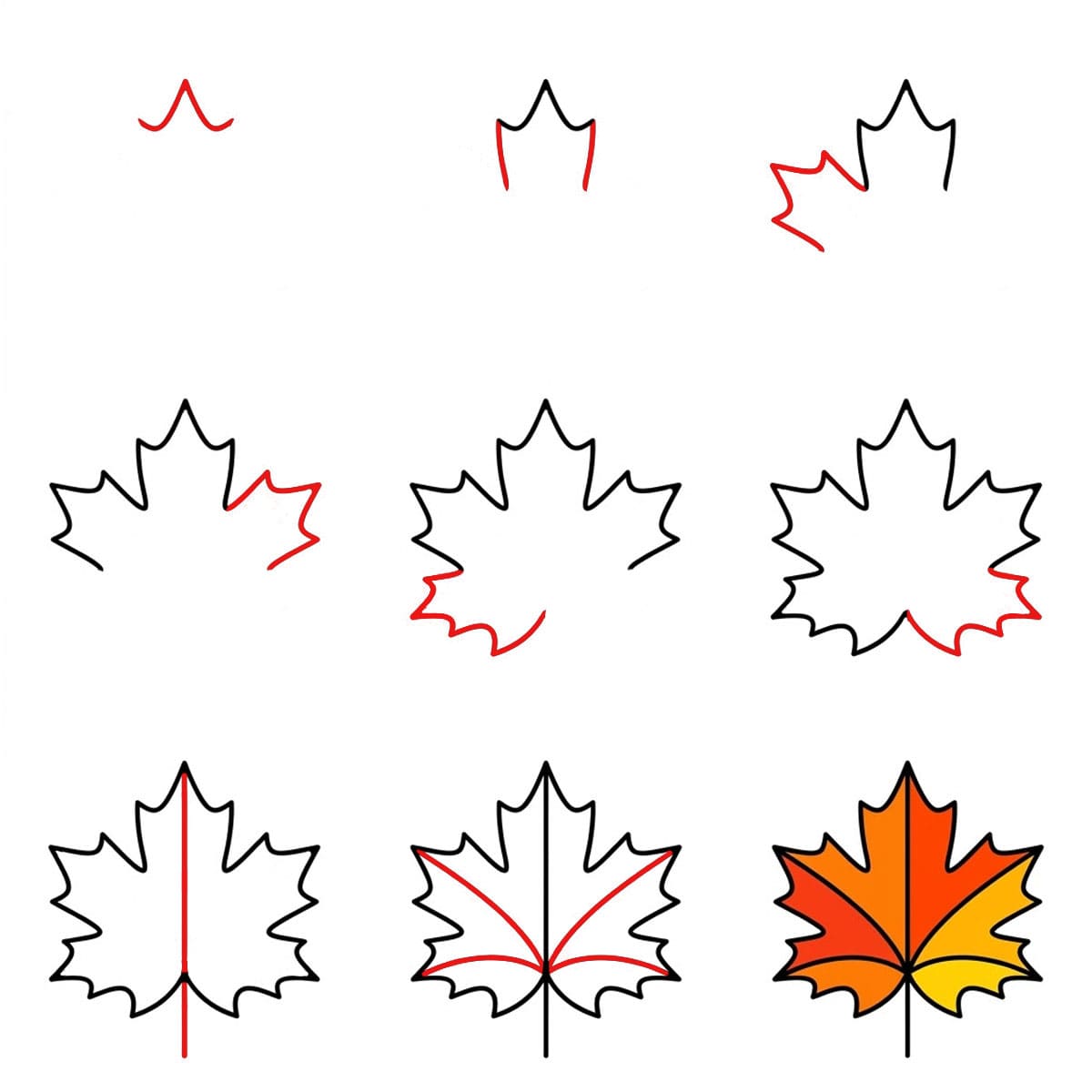 Feuille d'érable pointue dessin