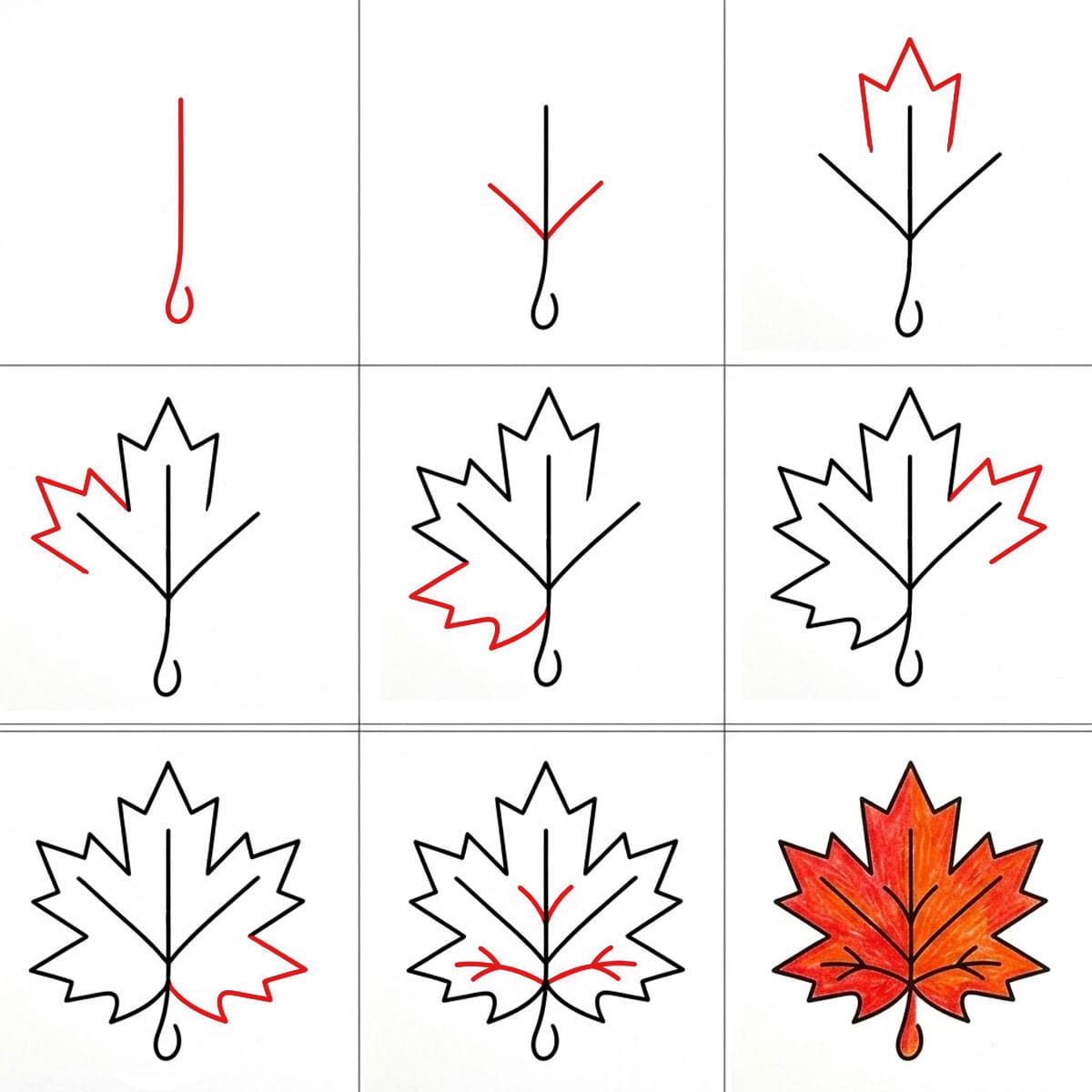 Feuille d'érable simple dessin