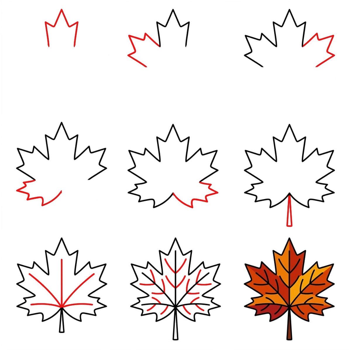 Feuille d'érable unique dessin