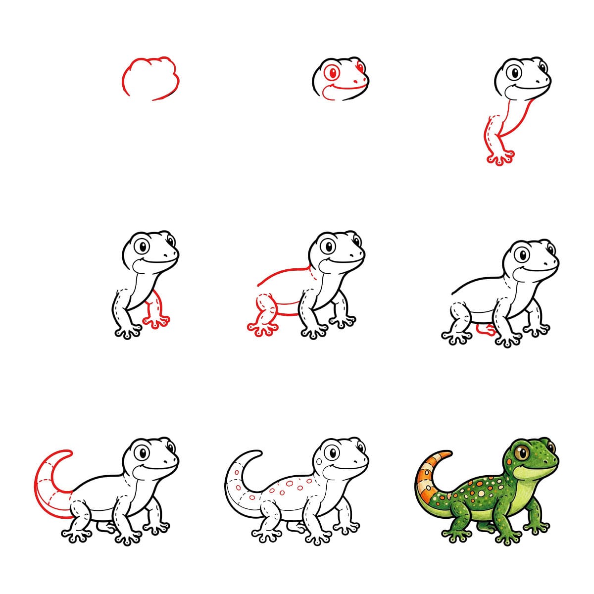 Gecko à dos large dessin