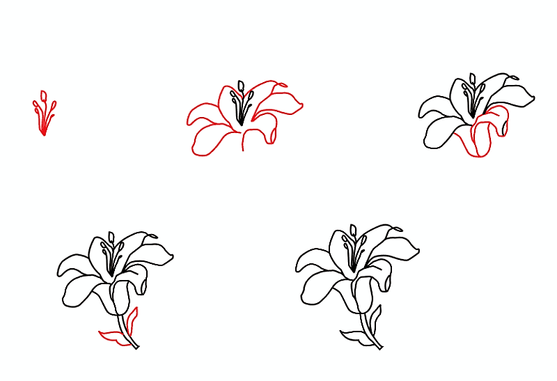Idée fleur de lys 3 dessin