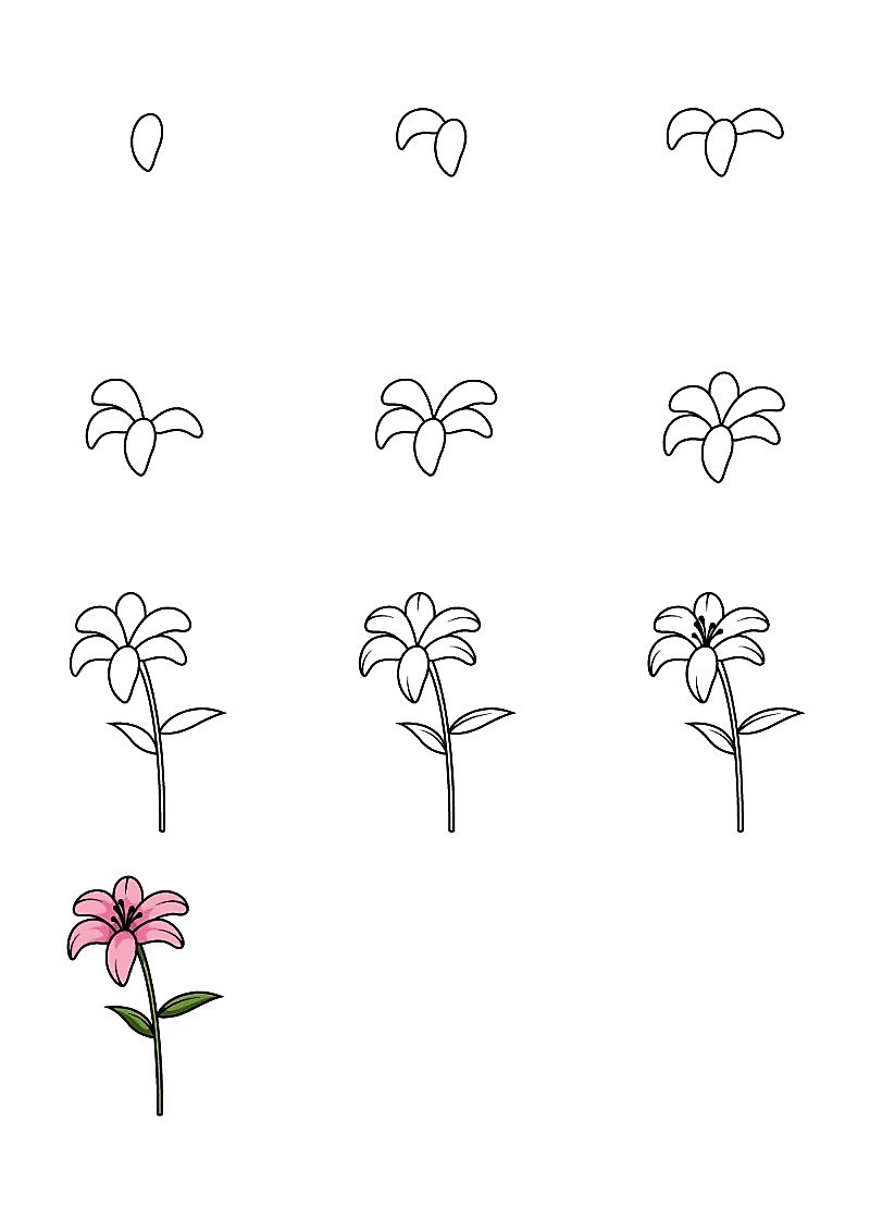 Idée fleur de lys 6 dessin