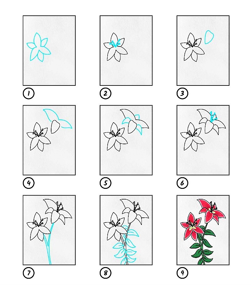 Comment dessiner Idée fleur de lys 7